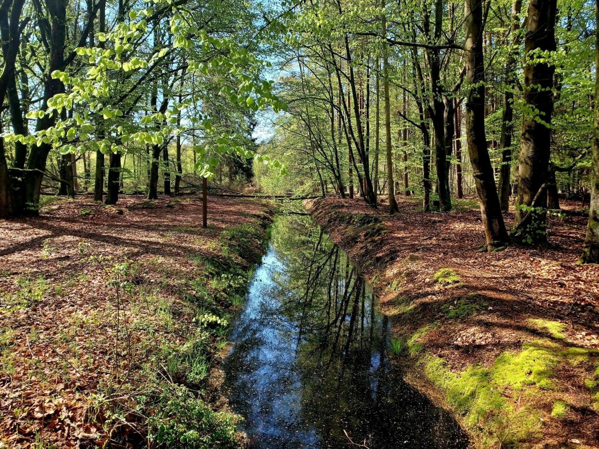 FeWo Weide - Ulenhoef Prerow Exterior foto